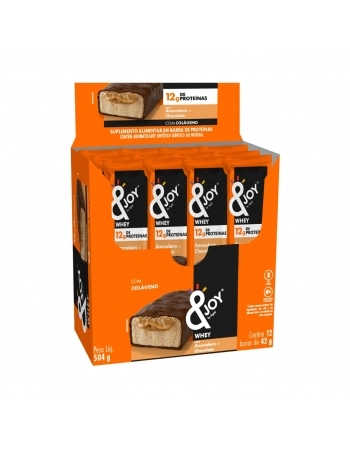 Barra Enjoy Proteína Whey Amendoim + Chocolate 12x42g